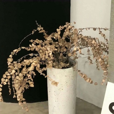 Furry插画构图解析兽圈群